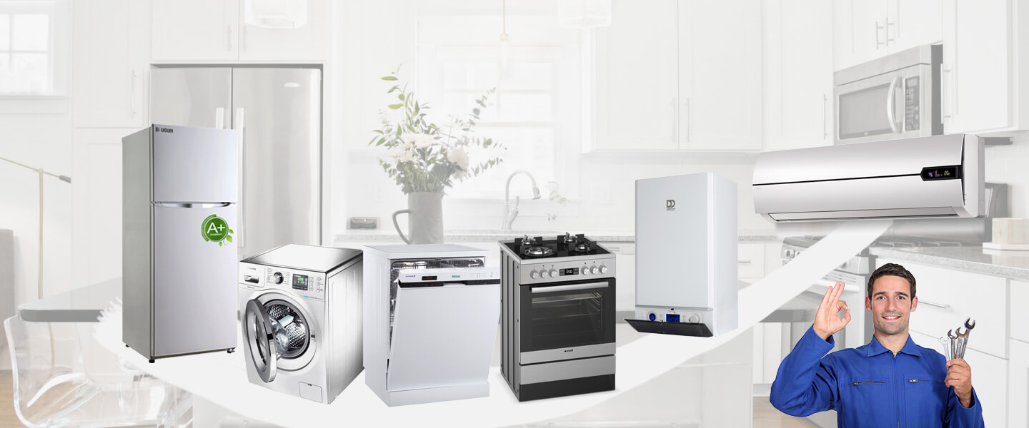 Doğanlar Philips Servisi